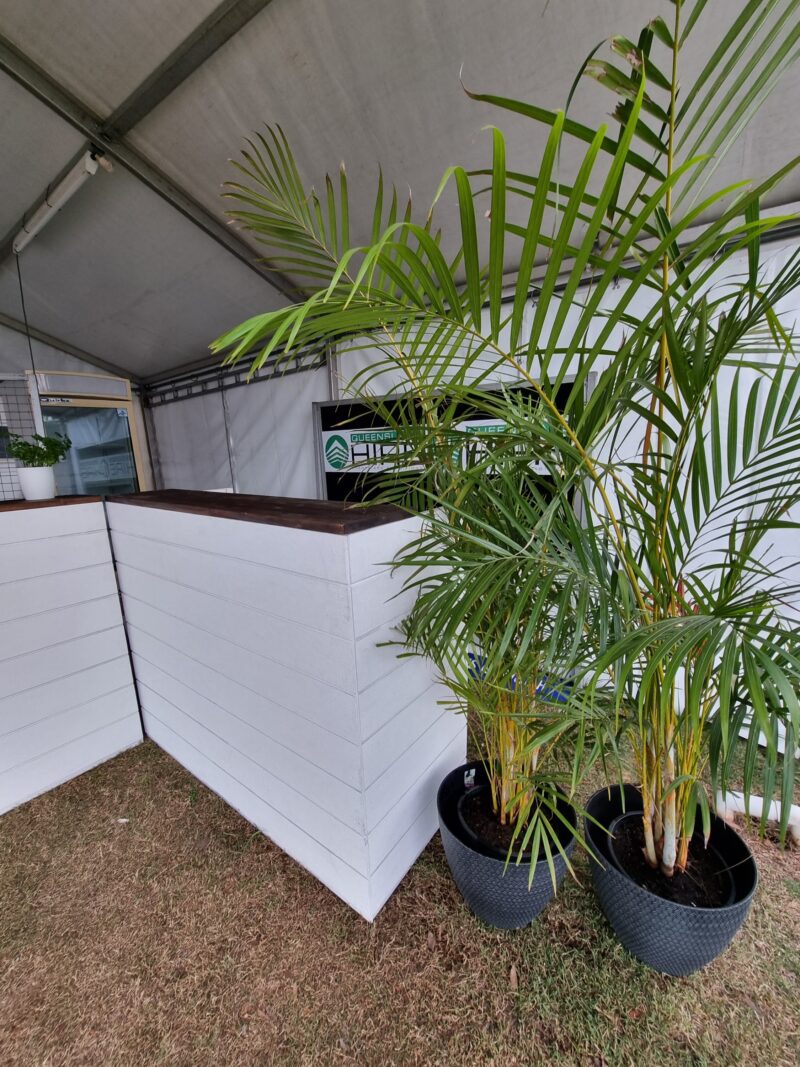 Pot Plant Hire from Queensland Hire Est. 1980