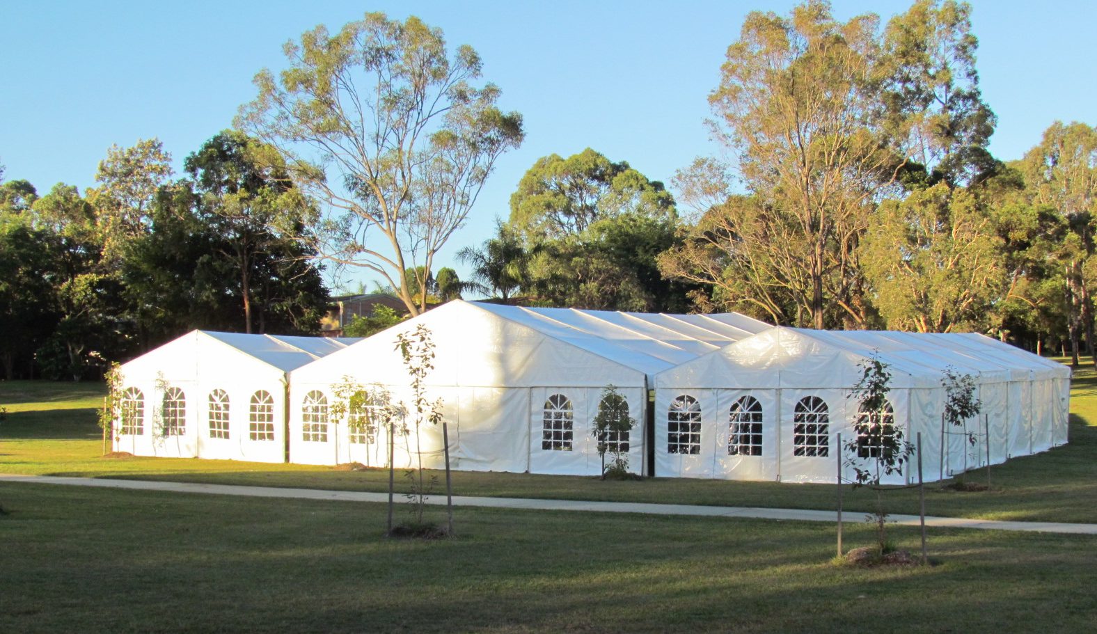 Shades marquees 2024